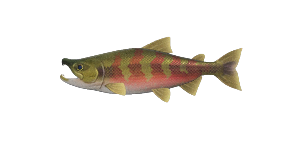 Le saumon d'ACNH sur Nintendo Switch 2 et antérieure. Le saumon d'ACNH sur Nintendo Switch 2 et antérieure.