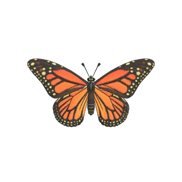 Le papillon Monarque dans Animal Crossing New Horizons. Le papillon Monarque dans Animal Crossing New Horizons.