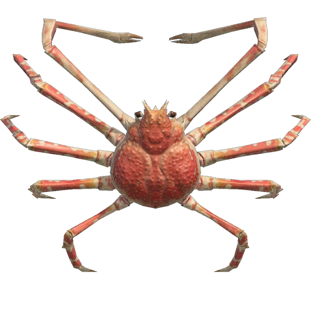 Le crabe-araignée géant dans Animal Crossing New Horizons. Le crabe-araignée géant dans Animal Crossing New Horizons.
