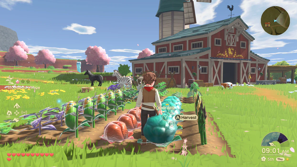 Les cultures de Harvest Moon Echoes of Teradea.