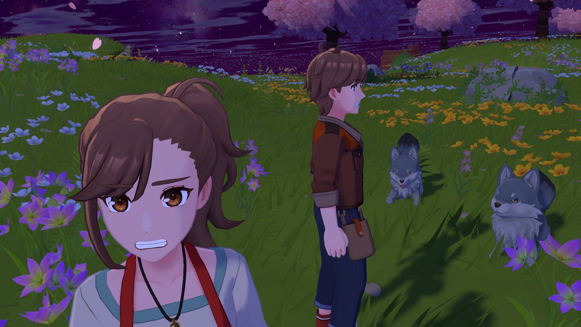 Les loups dans Harvest Moon Echoes of Teradea. Les loups dans Harvest Moon Echoes of Teradea.