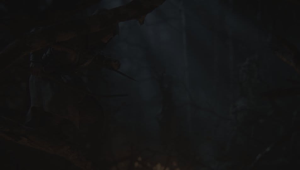 Forêt de nuit dans assassin's creed hexe. Forêt de nuit dans assassin's creed hexe.