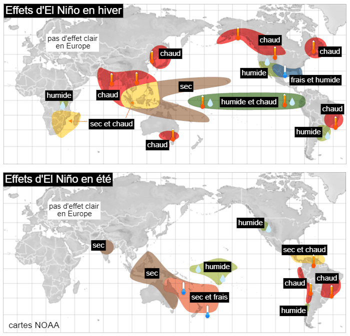 Les effets d'El NiÃ±o en hiver et en Ã©tÃ©.