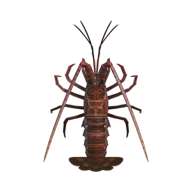 Animal Crossing New Horizons langouste.