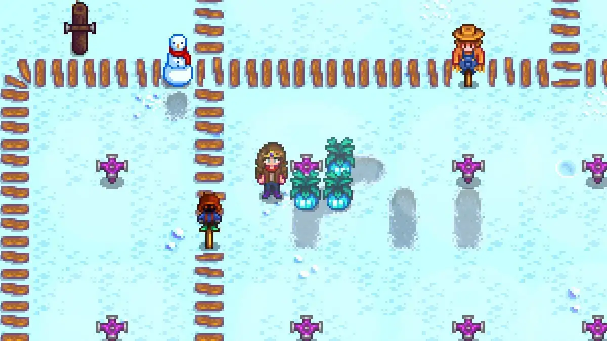 Planter un poudremelon dans stardew valley. Planter un poudremelon dans stardew valley.