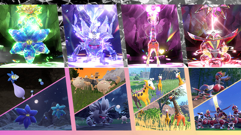 Pokemon Ecarlate Violet les raids 7 étoiles d'août 2026. Pokemon Ecarlate Violet les raids 7 étoiles d'août 2026.