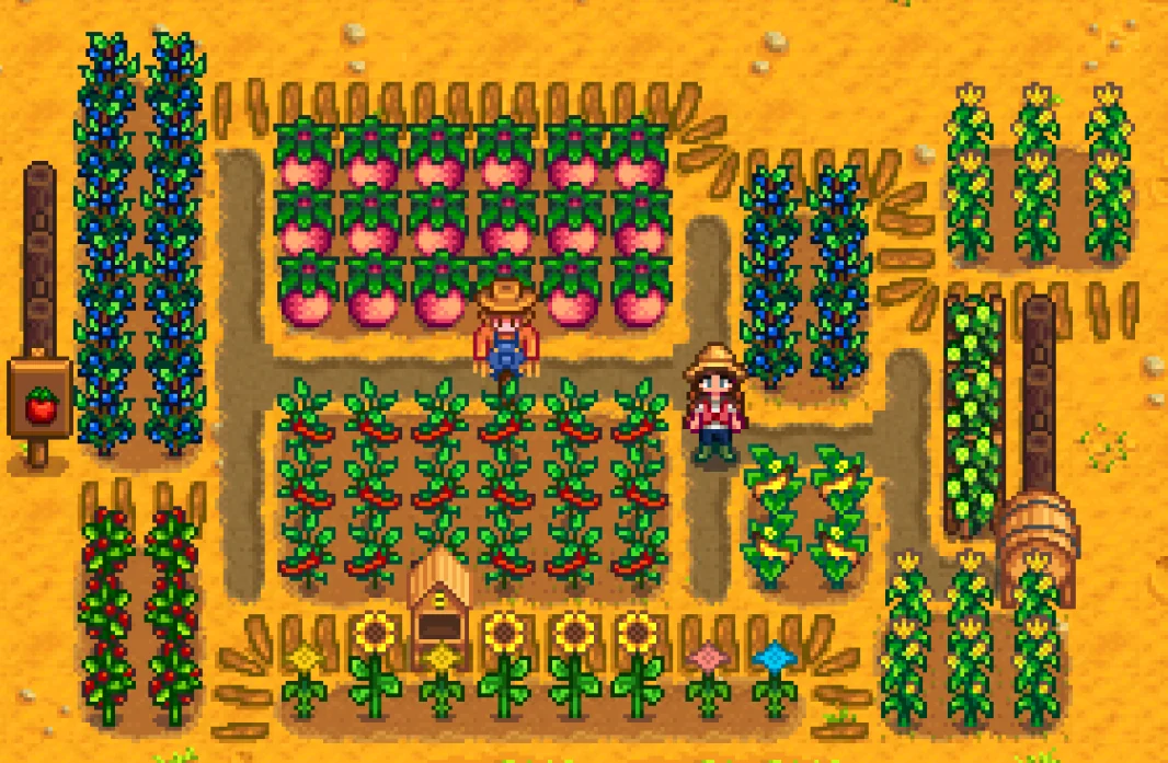 Exemple de cultures d'Ã©tÃ© dans Stardew Valley.