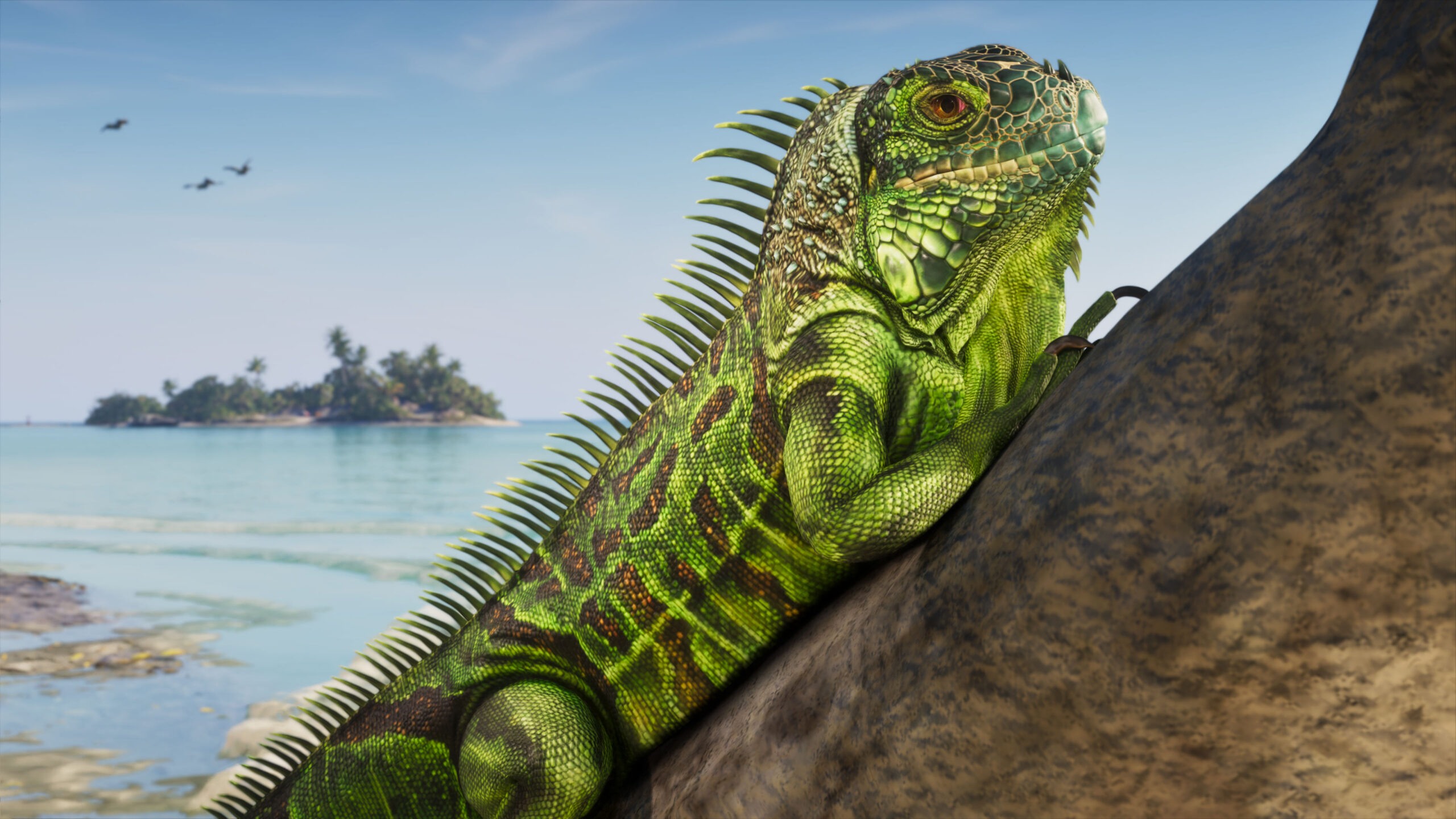 GTA 6 a des iguianes dans les Leonida Keys. GTA 6 a des iguianes dans les Leonida Keys.