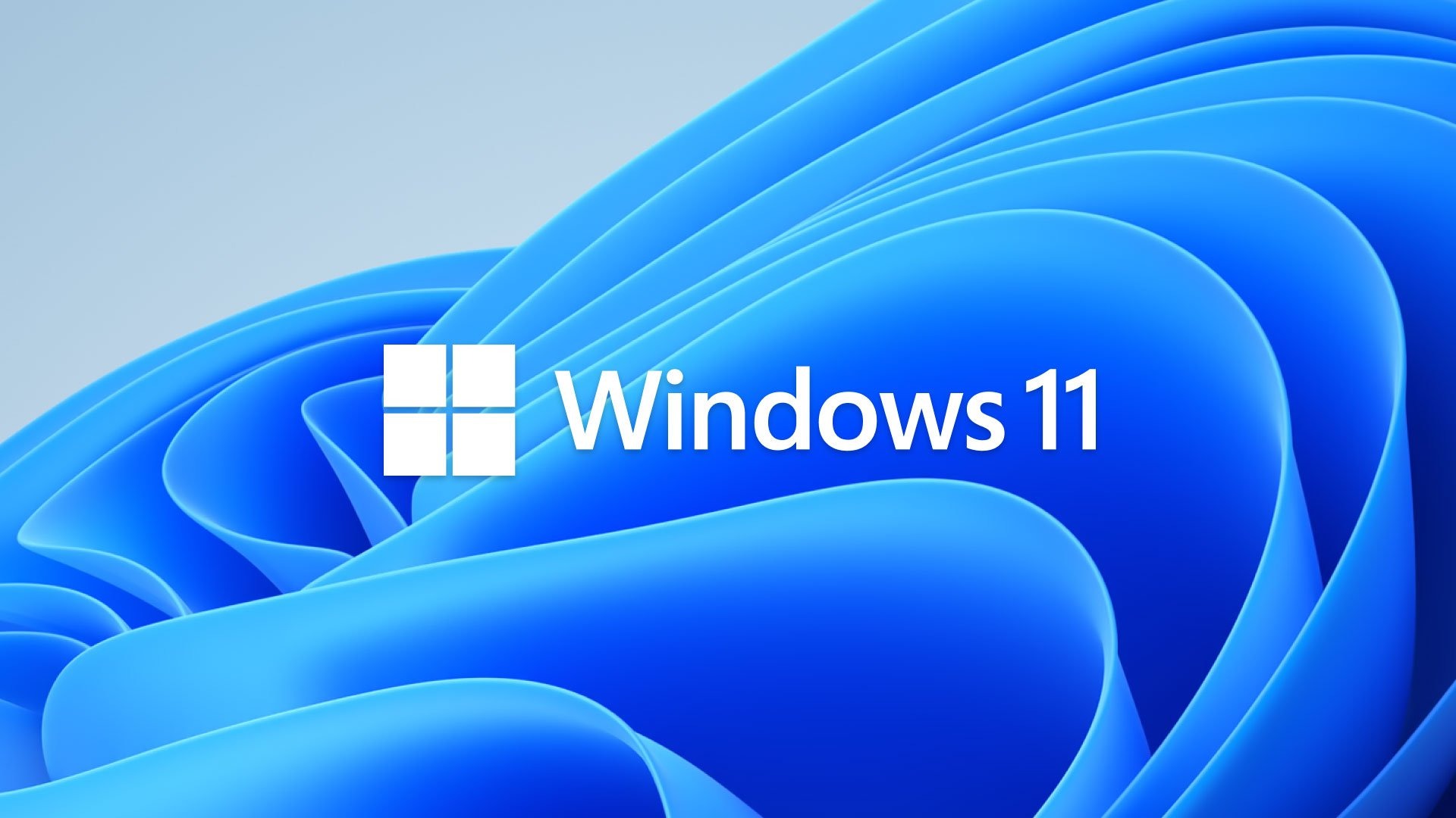 Logo de Windows 11. Logo de Windows 11.