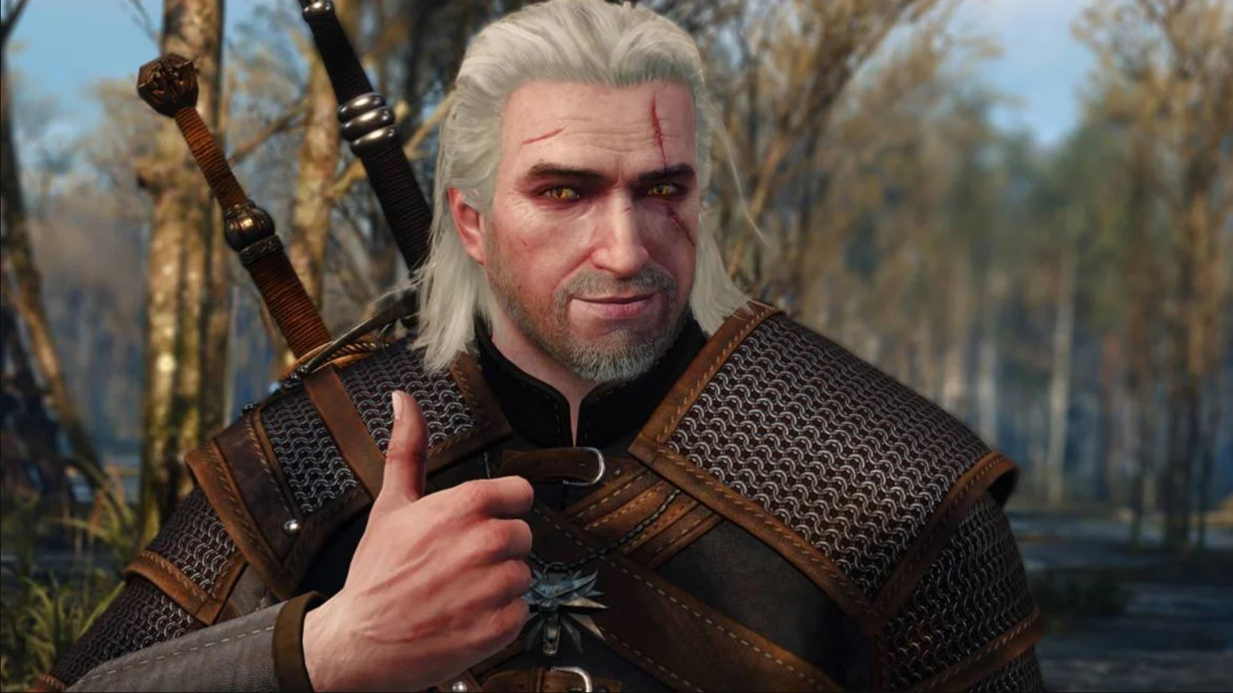 The Witcher 3 The Witcher 3