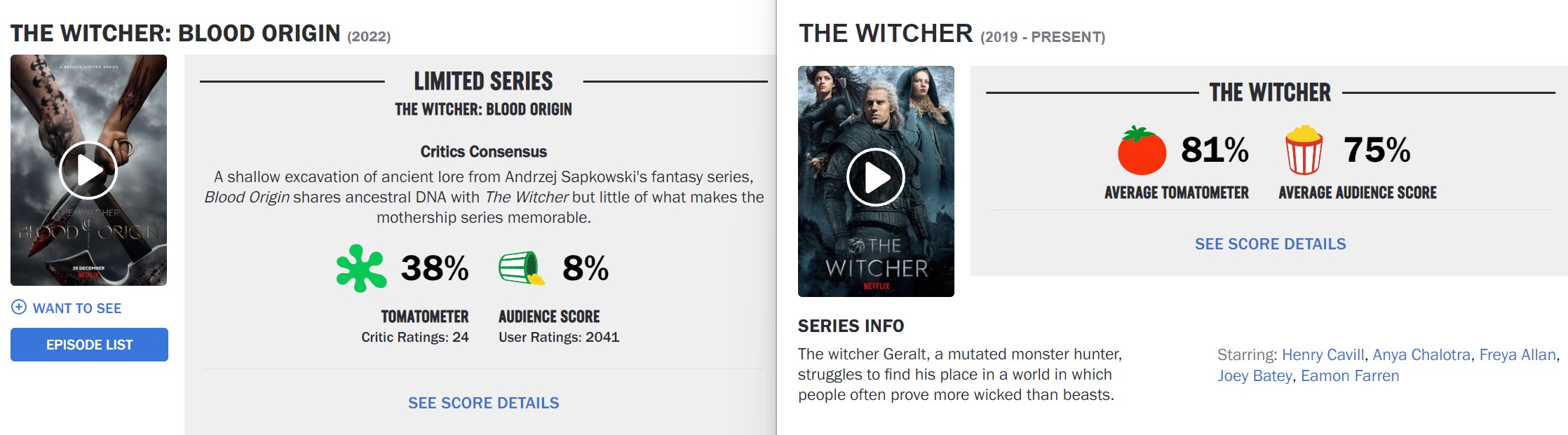 The Witcher catastrophe The Witcher catastrophe