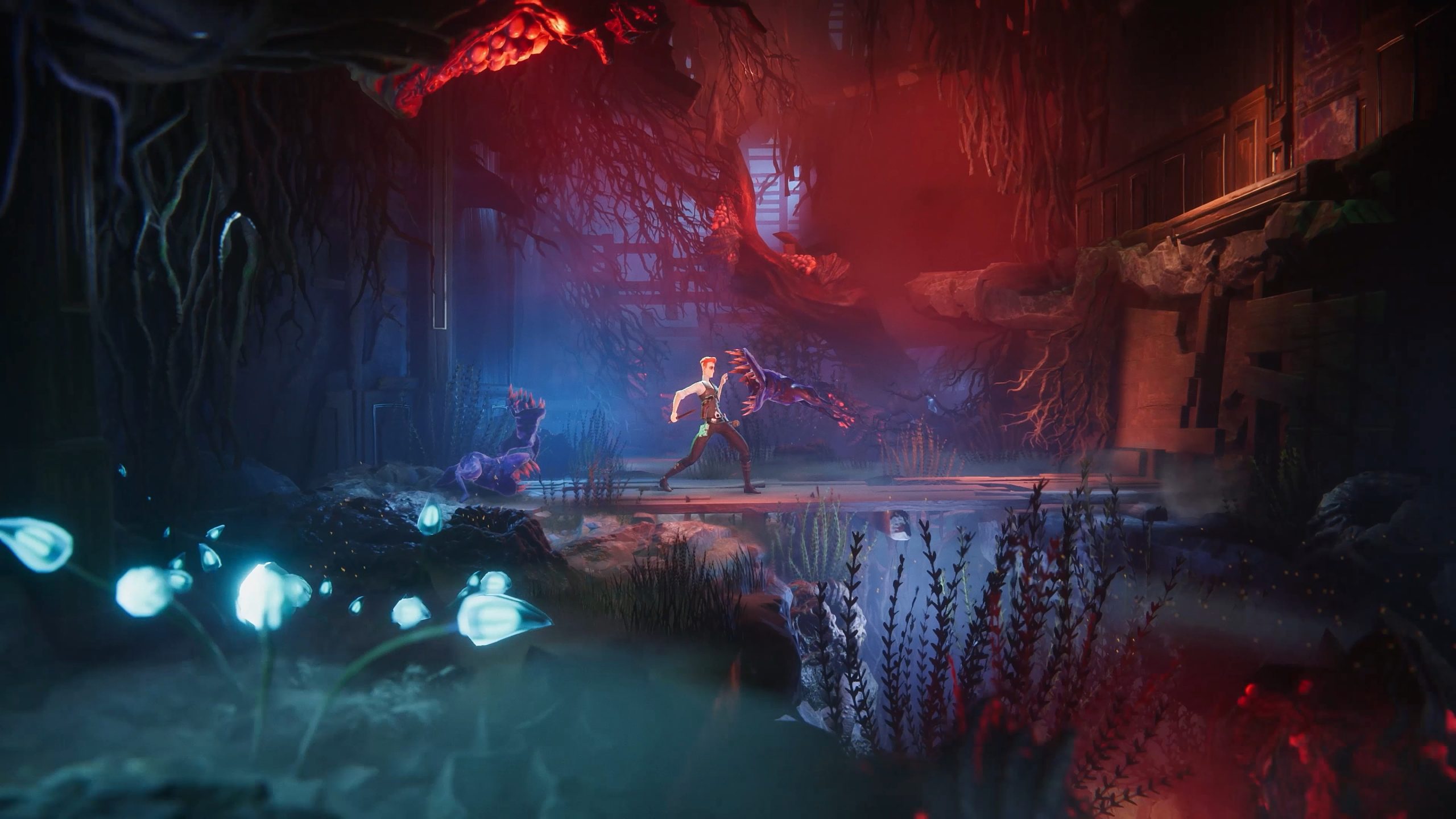 Benedict Fox Xbox Series PC Benedict Fox Xbox Series PC