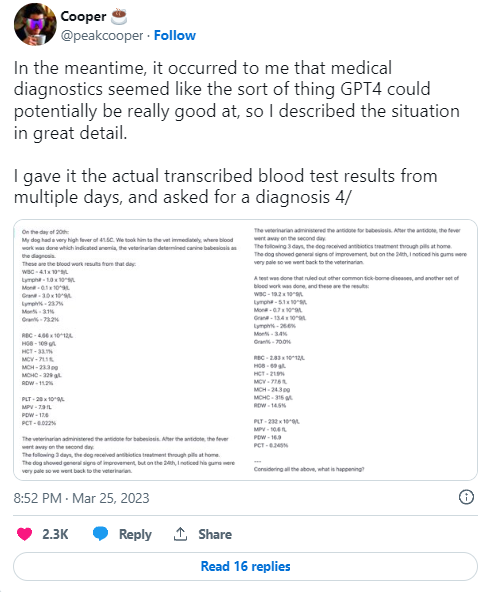 l'IA GPT-4 a permis de sauver la vie d'un chien l'IA GPT-4 a permis de sauver la vie d'un chien