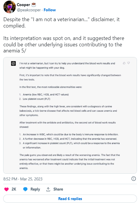 l'IA GPT-4 a permis de sauver la vie d'un chien l'IA GPT-4 a permis de sauver la vie d'un chien