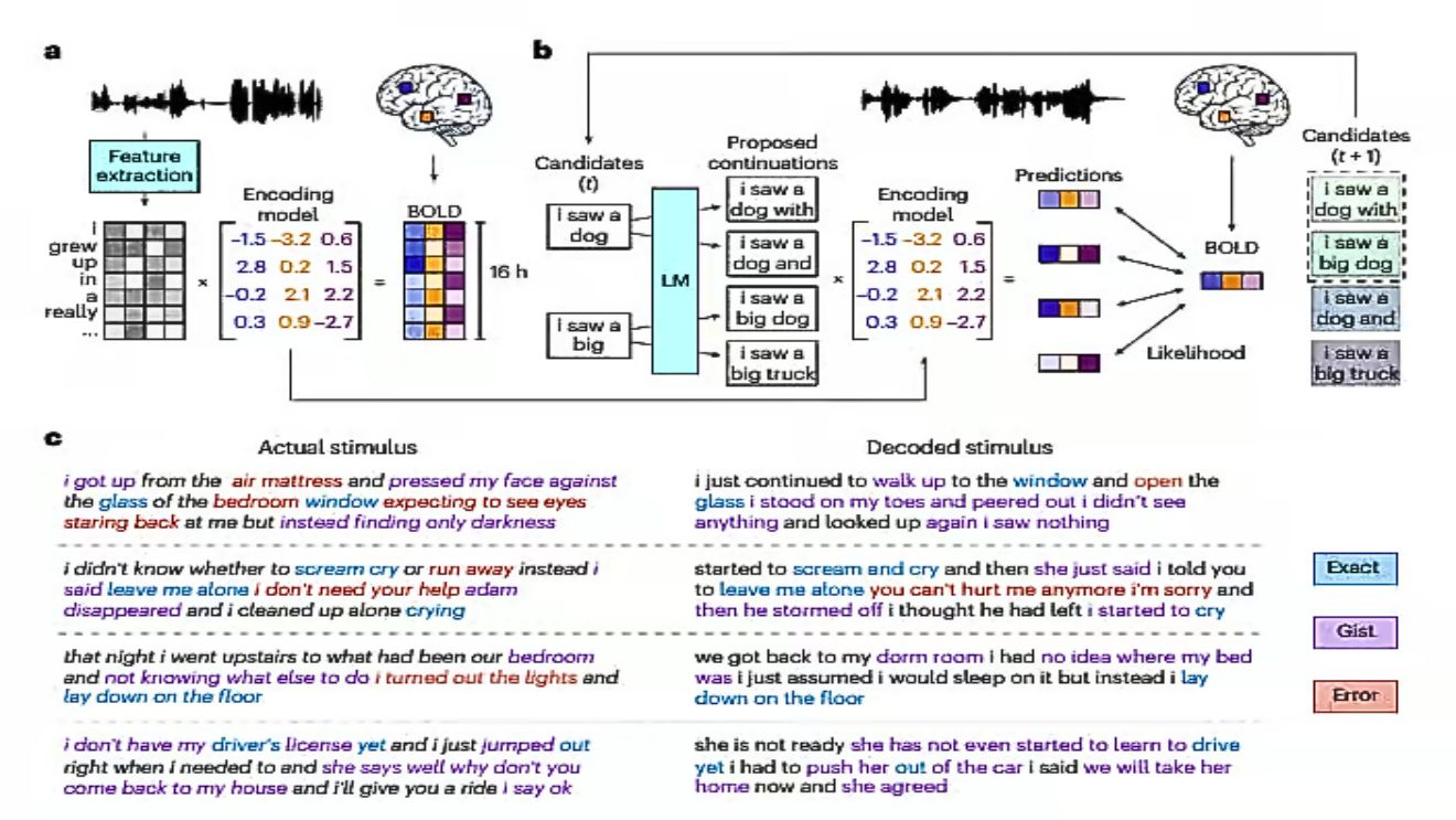 intelligence artificielle : à GAUCHE, LâHISTOIRE ENTENDUE OU GÃNÃRÃE PAR LE VOLONTAIRE. à DROITE, LâINTERPRÃTATION QUâEN FAIT LâIA DE GPT1 INTÃGRÃE AU DÃCODEUR. © UNIVERSITà DU TEXAS, NATURE intelligence artificielle : à GAUCHE, LâHISTOIRE ENTENDUE OU GÃNÃRÃE PAR LE VOLONTAIRE. à DROITE, LâINTERPRÃTATION QUâEN FAIT LâIA DE GPT1 INTÃGRÃE AU DÃCODEUR. © UNIVERSITà DU TEXAS, NATURE
