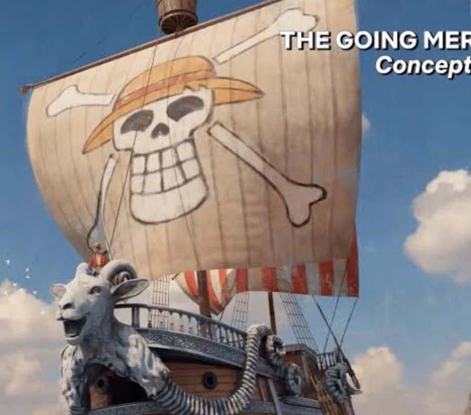one piece concept