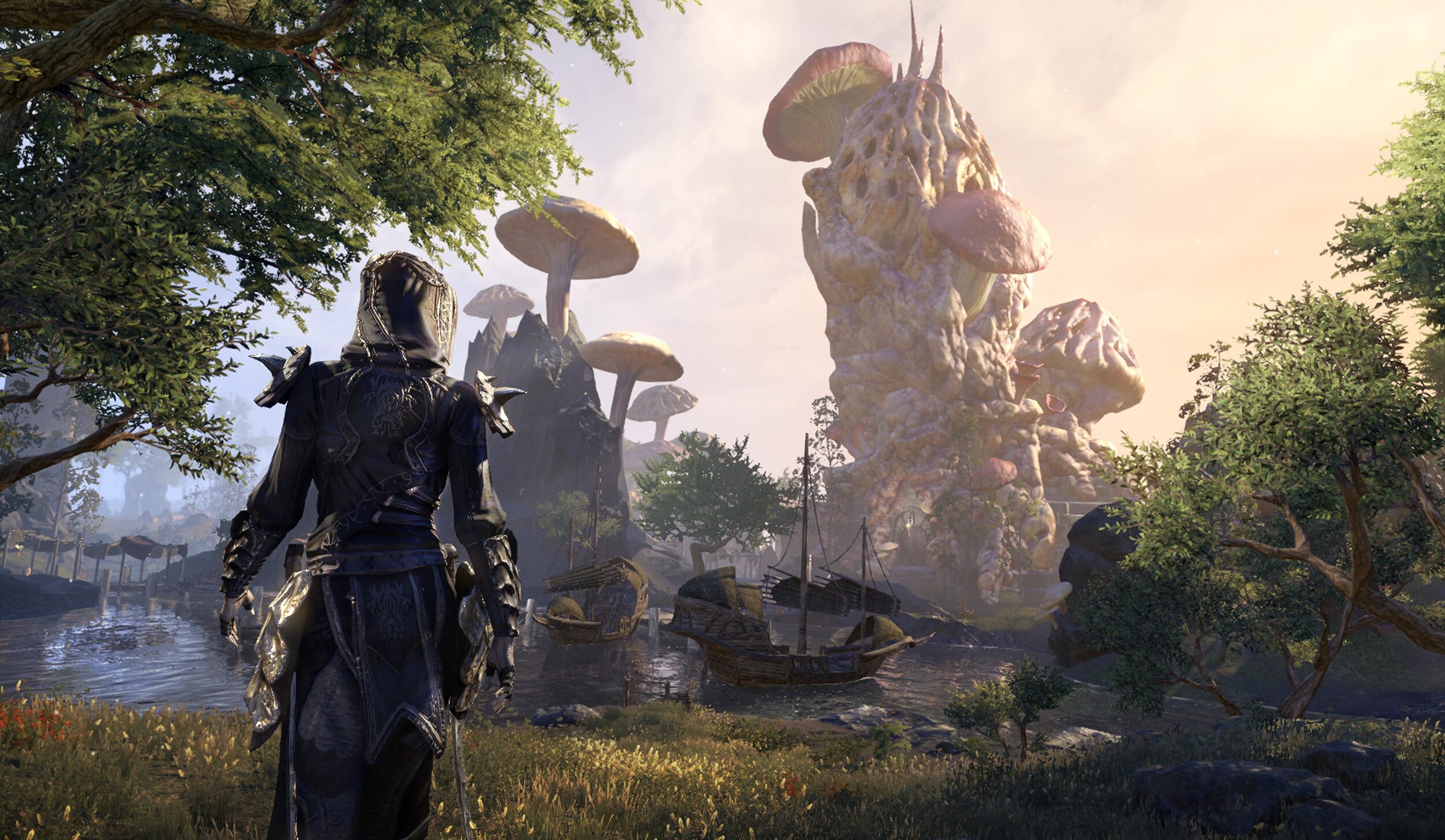 the Elder Scrolls Online the Elder Scrolls Online