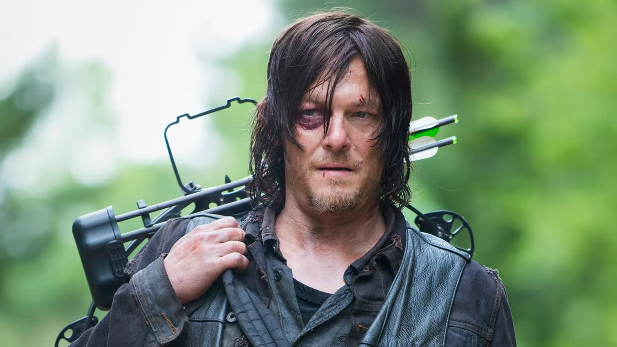 The Walking Dead Daryl The Walking Dead Daryl