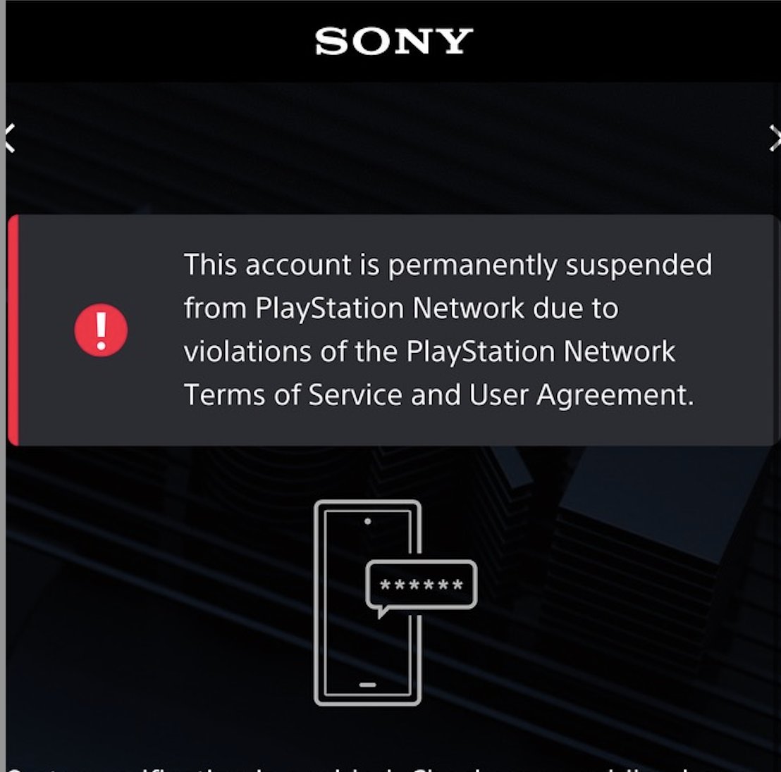 ps5 ban