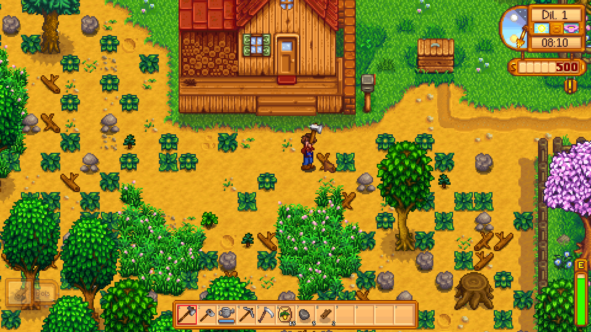 Stardew Valley - Ferme
