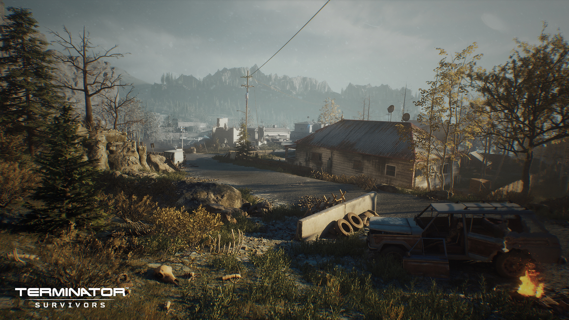 Terminator Survivors