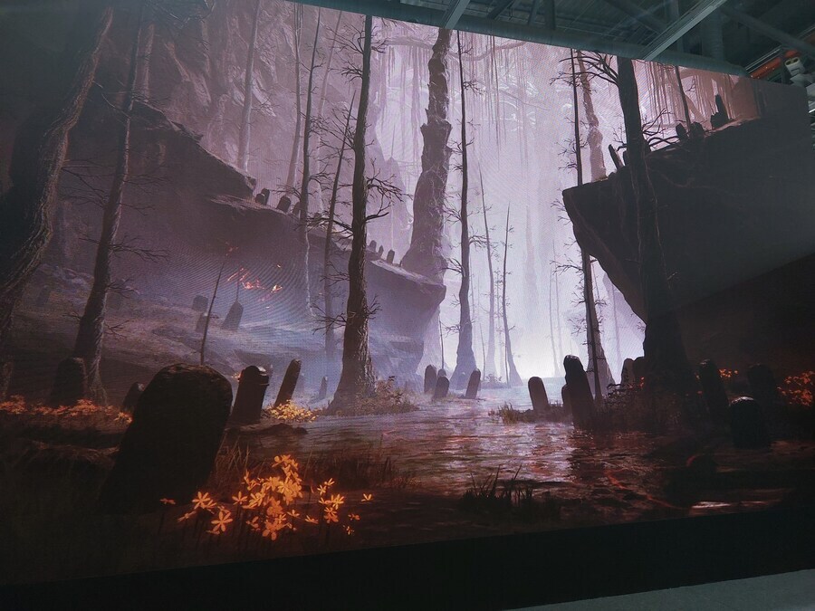 Elden Ring DLC leak 1