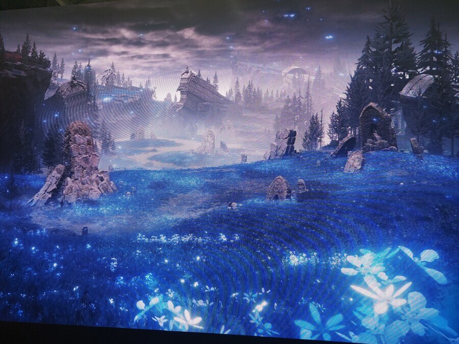 Elden Ring DLC leak 3