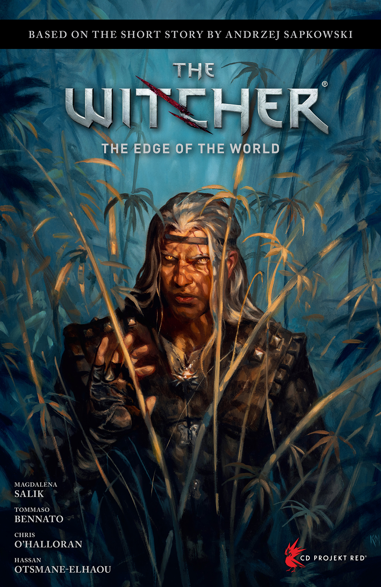The Witcher The Witcher