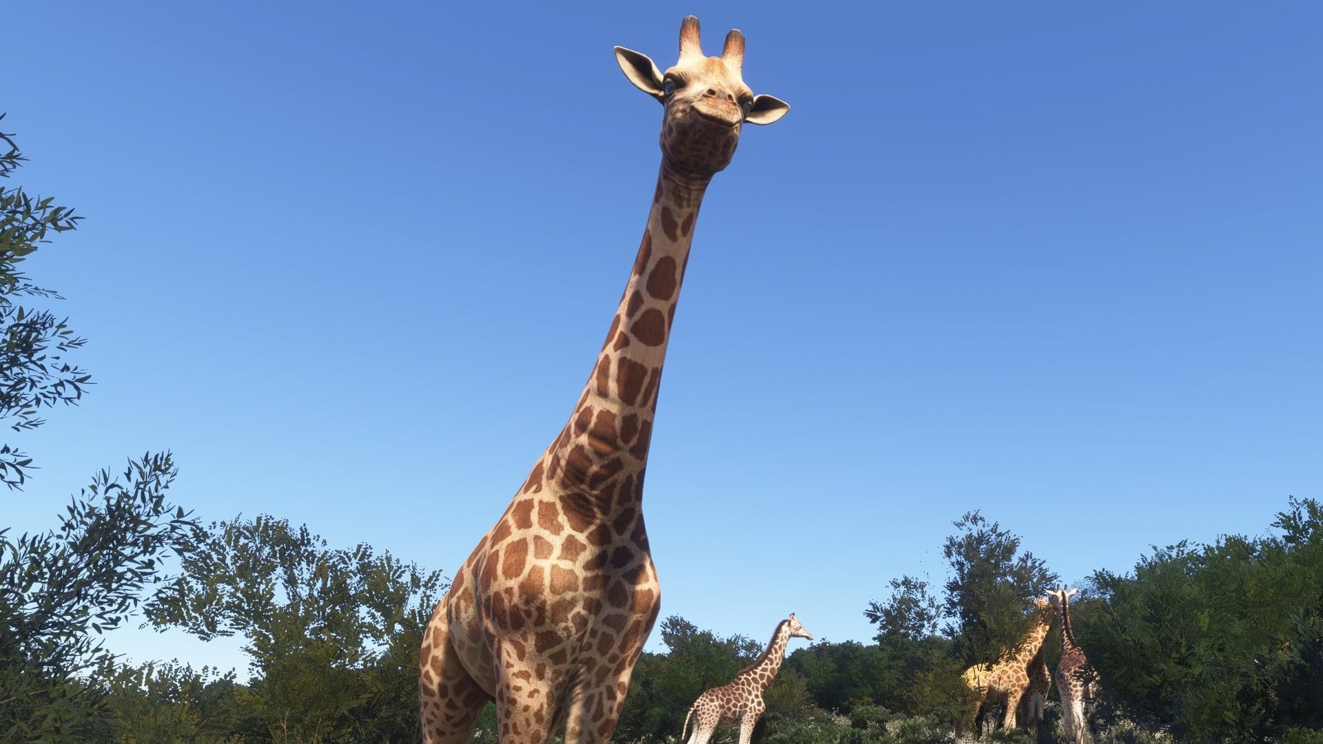 Flight Simulator 2024 Flight Simulator 2024