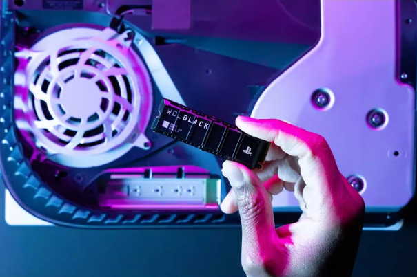 WD_BLACK SN850P WD_BLACK SN850P