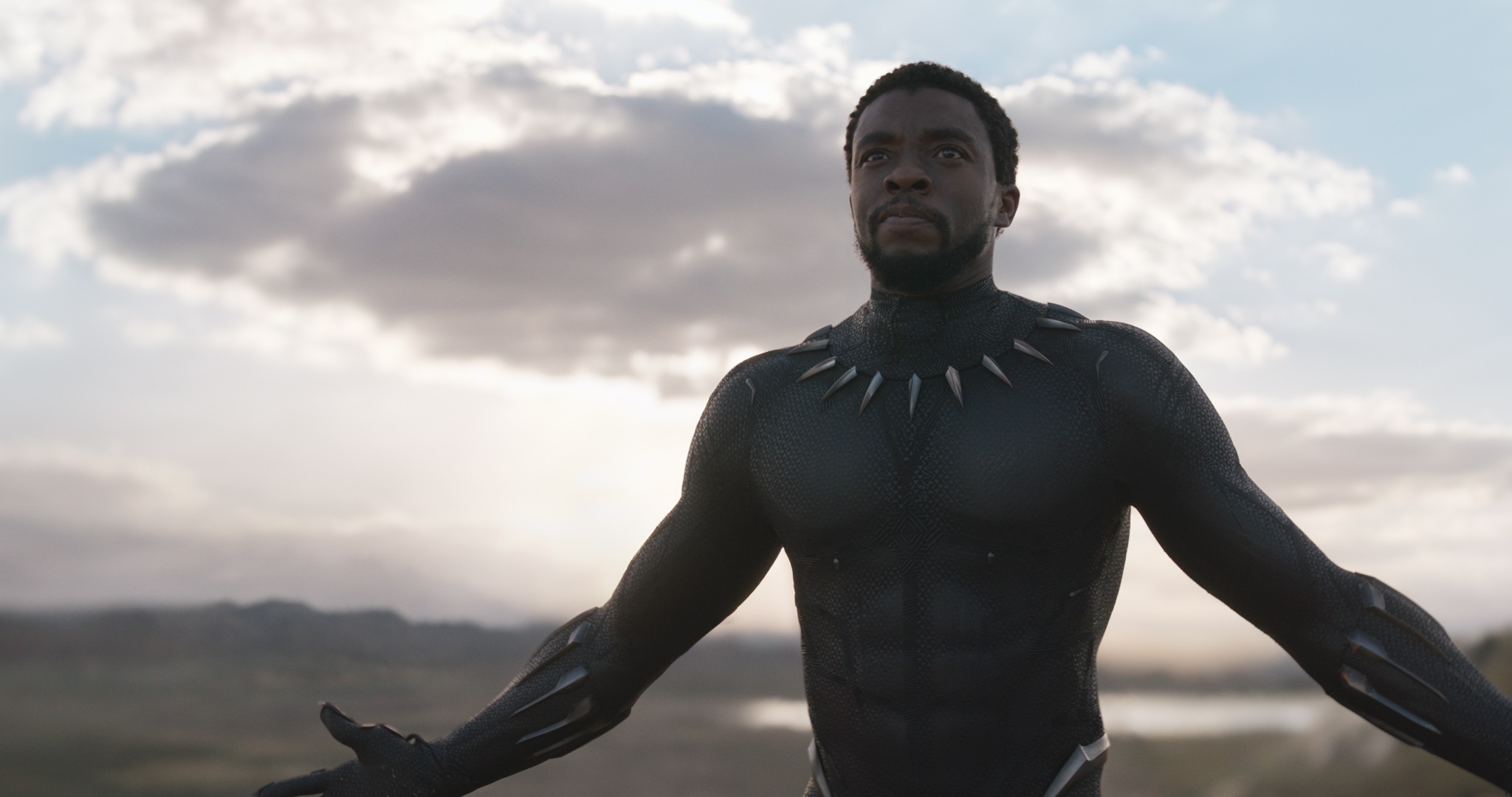 Black Panther Chadwick Boseman Black Panther Chadwick Boseman