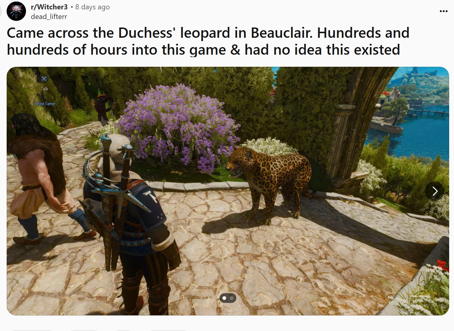 The Witcher 3 The Witcher 3