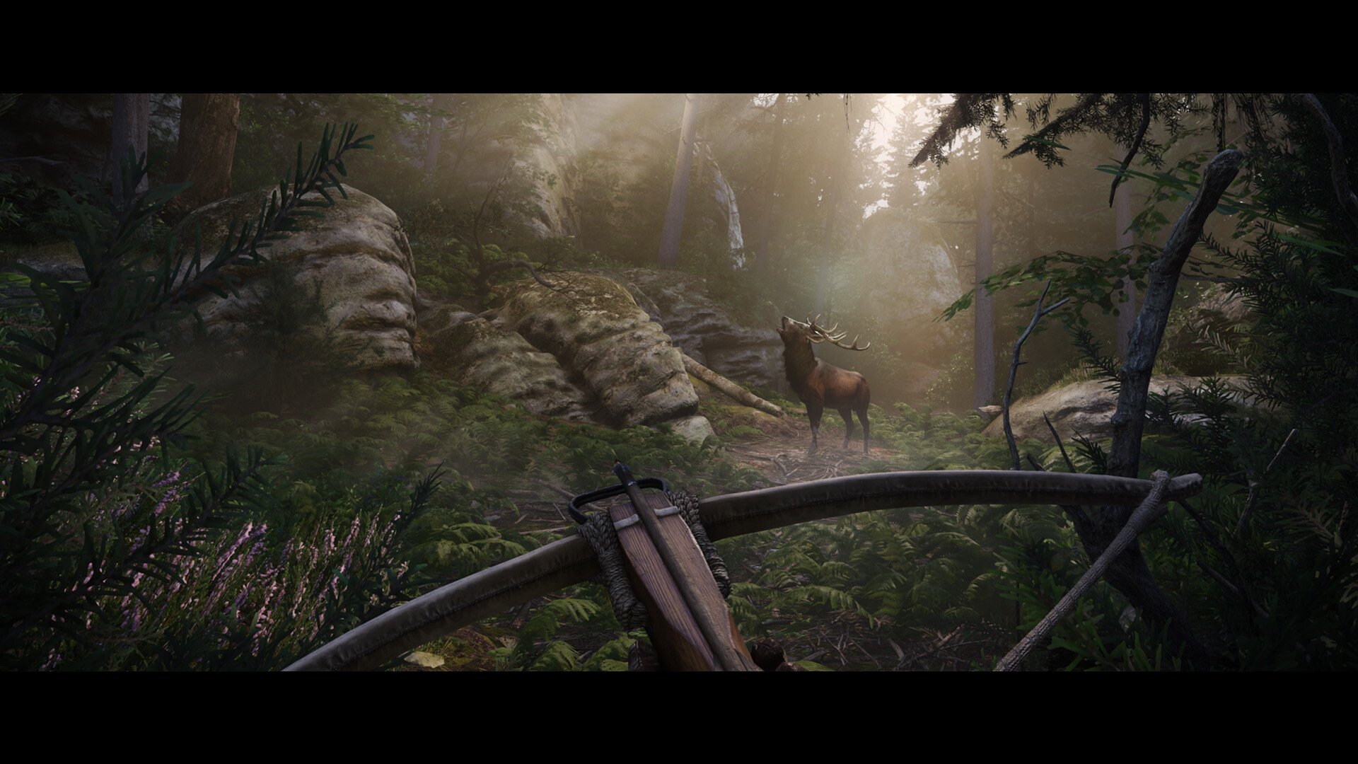 Kingdom Come: Deliverance II Kingdom Come: Deliverance II