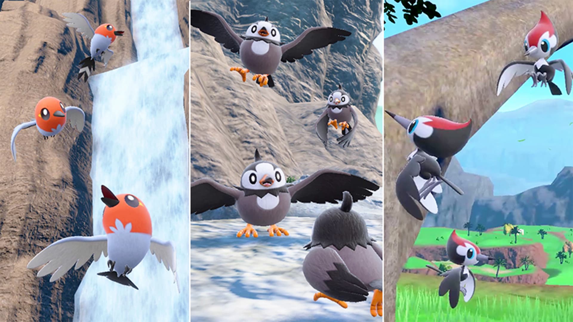 Apparition massive d'Etourmi, Passerouge et Picassaut dans Pokémon Ecarlate et Violet. Apparition massive d'Etourmi, Passerouge et Picassaut dans Pokémon Ecarlate et Violet.