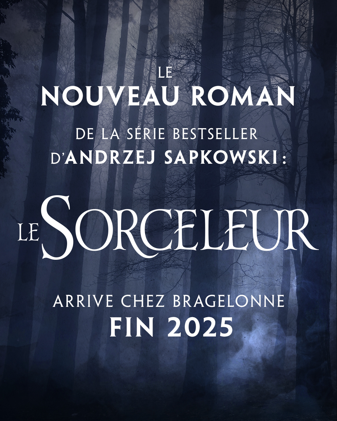 The Witcher The Witcher