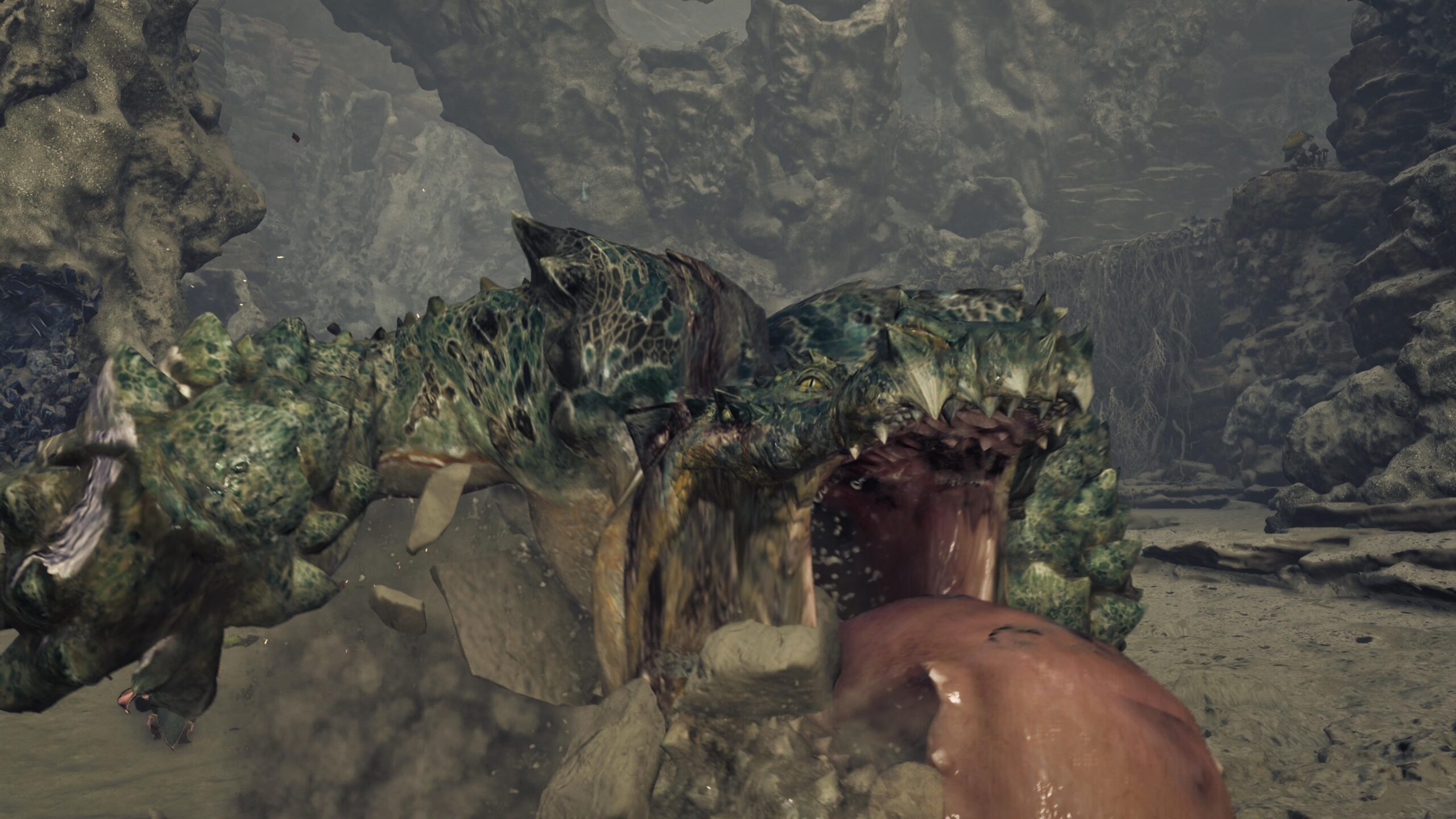 Monster Hunter Wilds_20250312082643 Monster Hunter Wilds_20250312082643