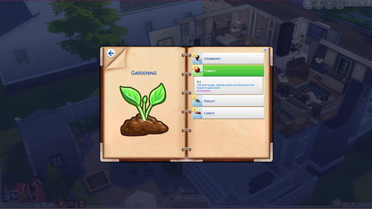 sims 4 carnet sims 4 carnet