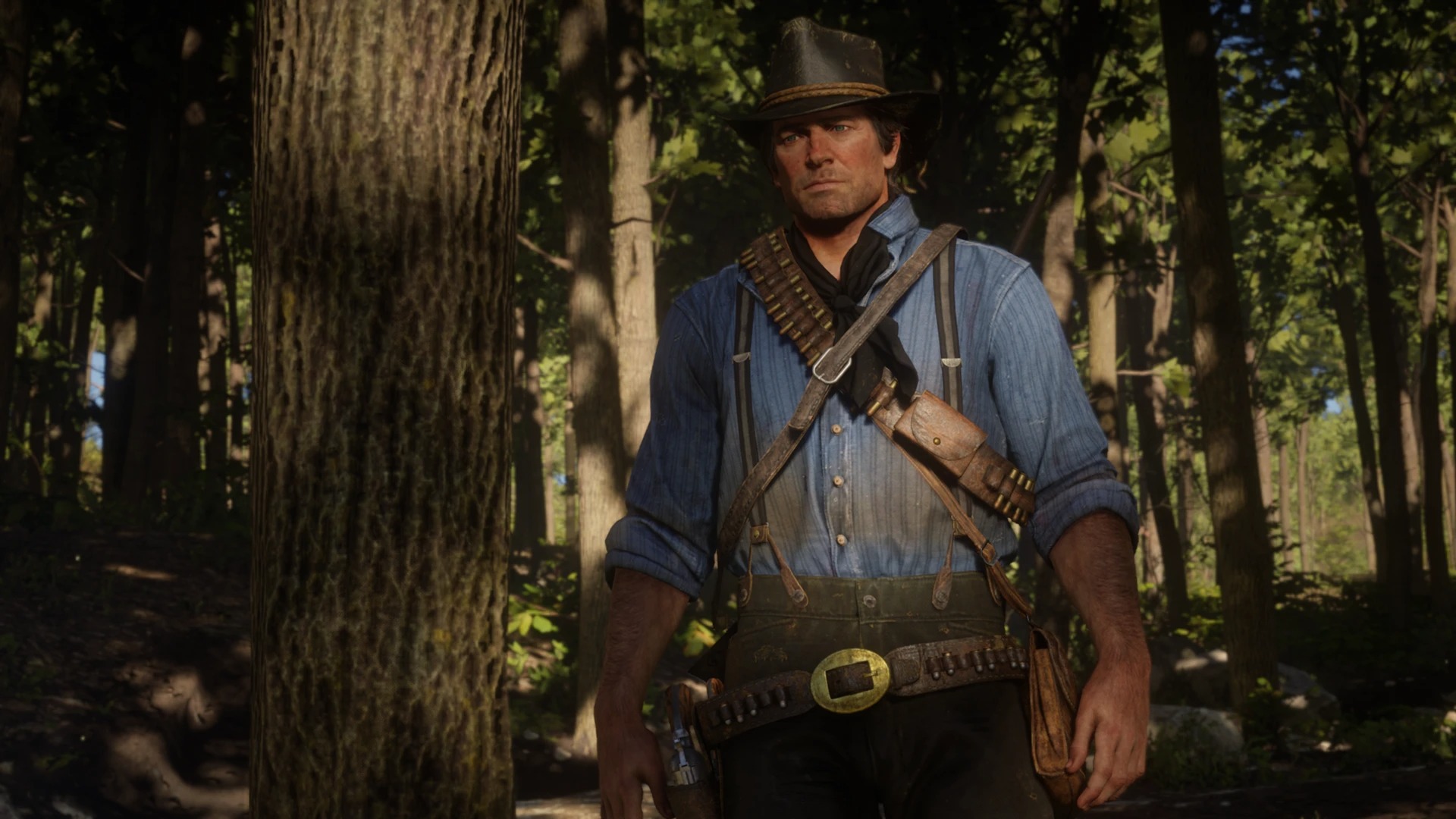 Red Dead Redemption 2 (Catalogue Improvements Mod)