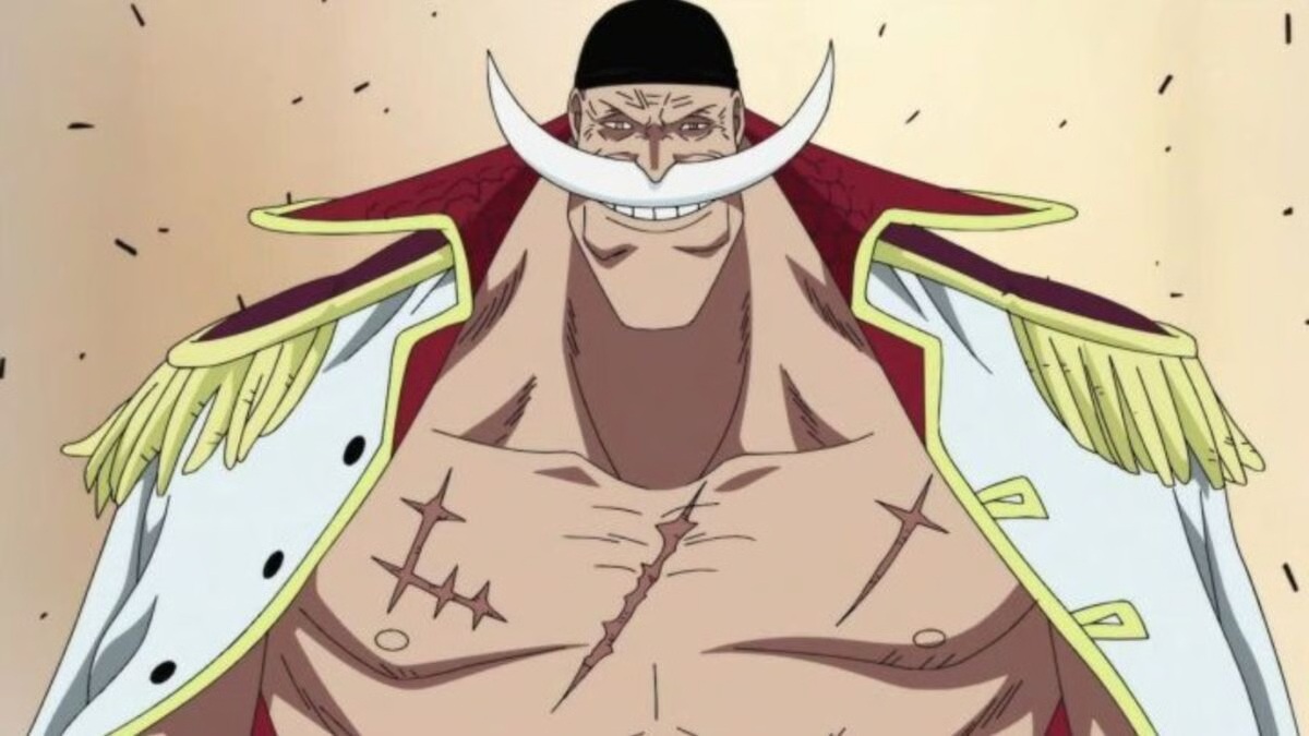 One Piece : Barbe Blanche dans la sÃ©rie animÃ©e.