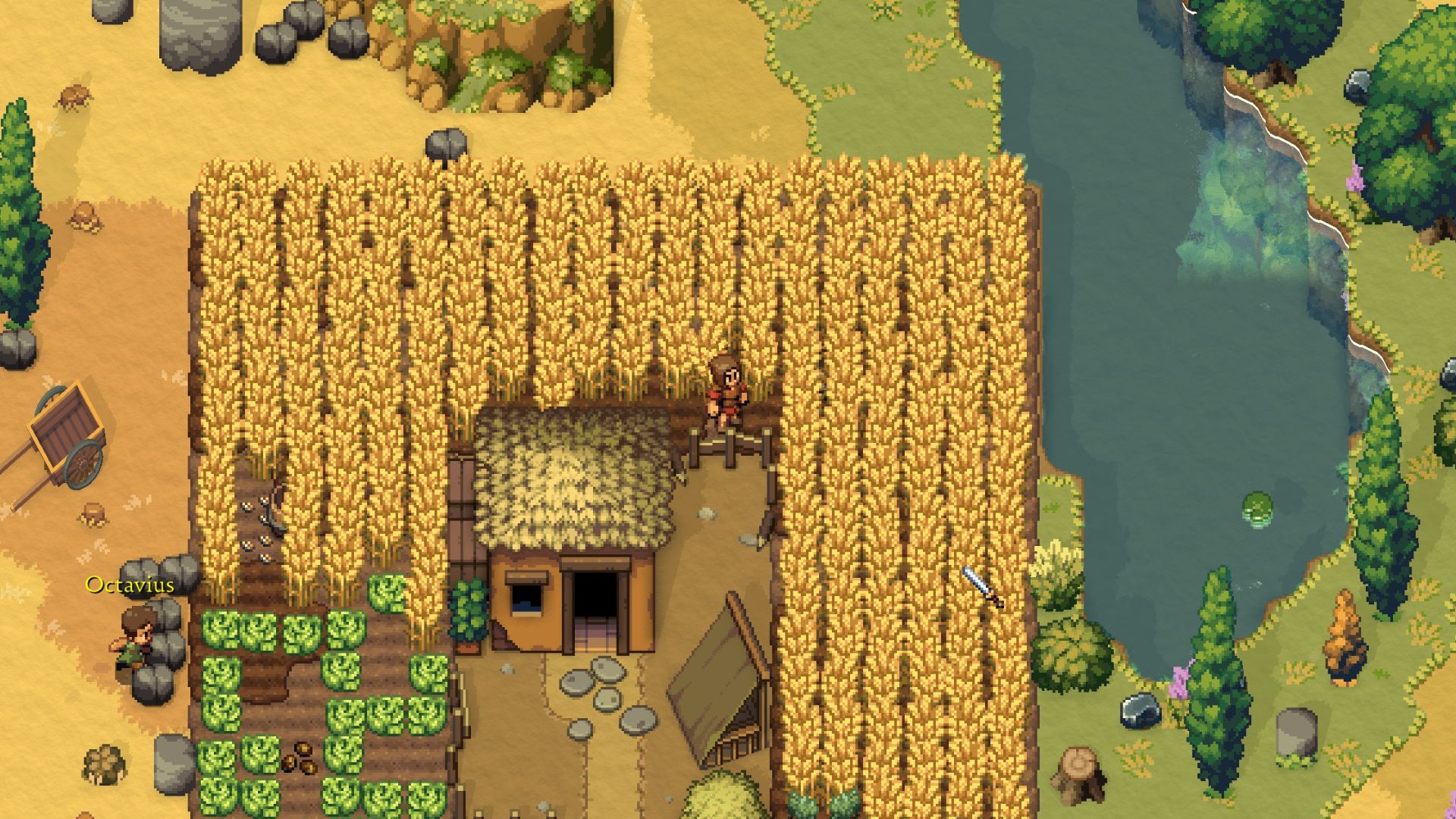 Romestead : Champ. Romestead : Champ.