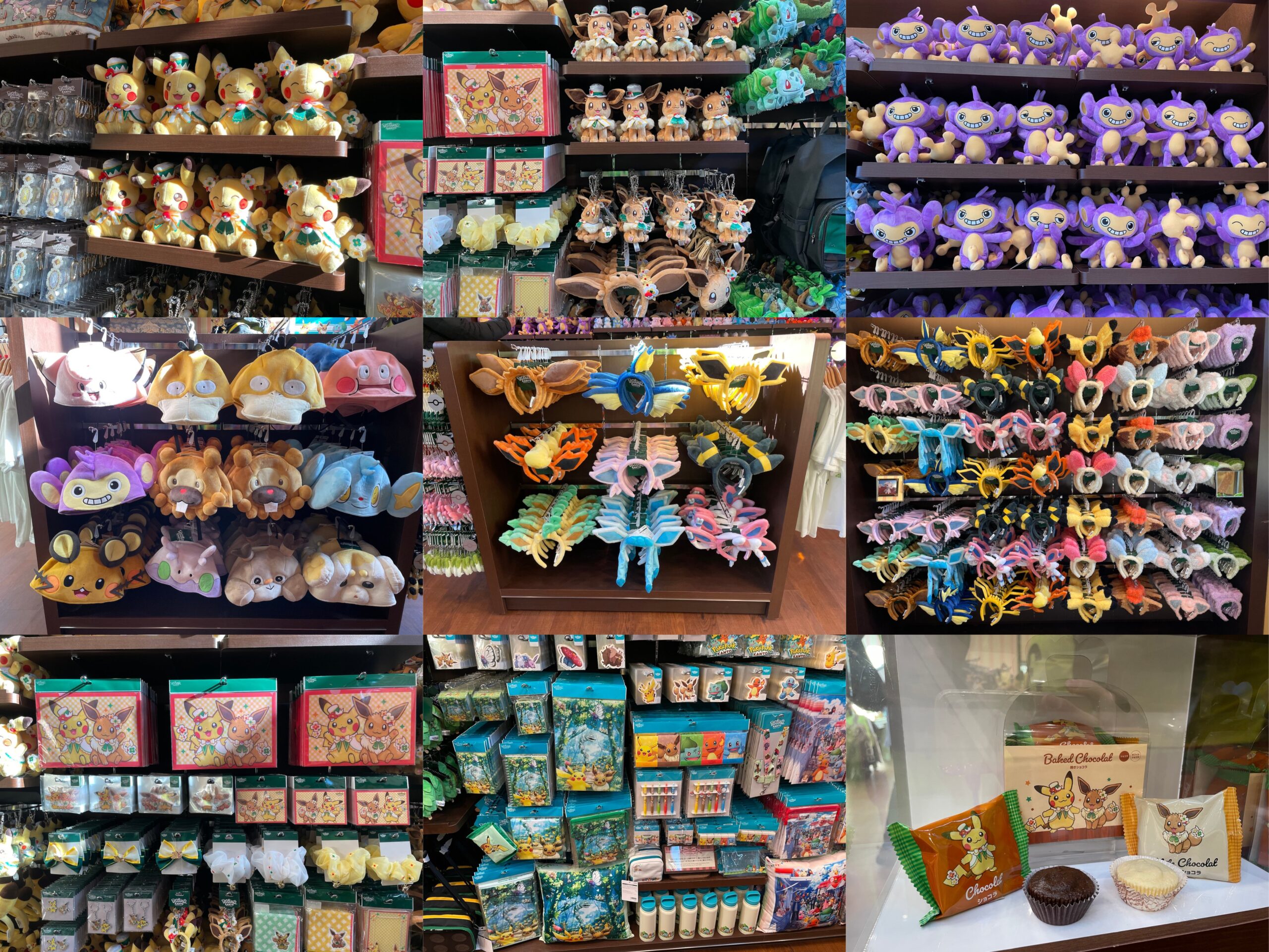 parc pokemon parc pokemon