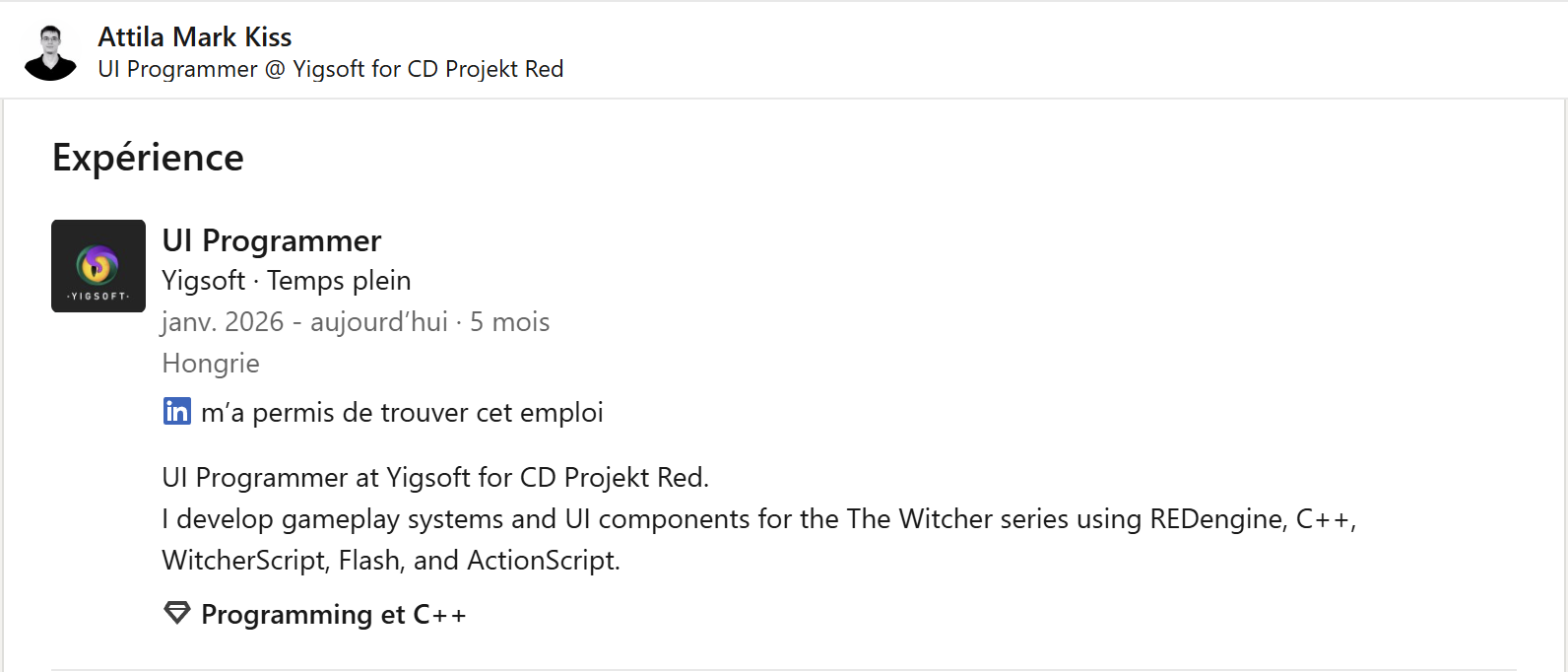 The Witcher 3
