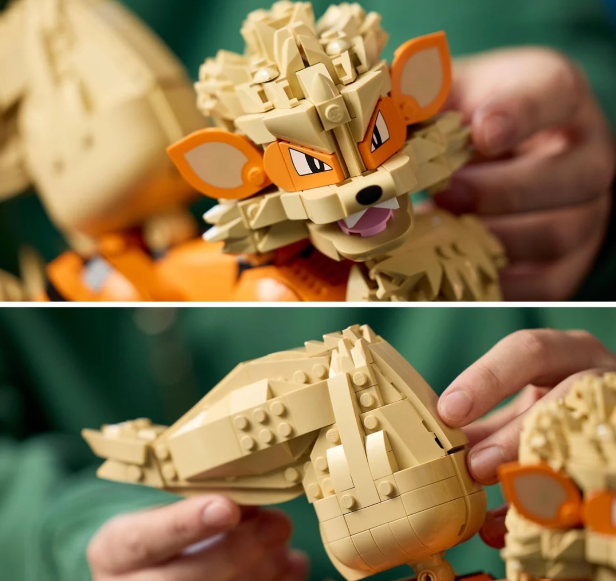 Pokemon arcanin 1