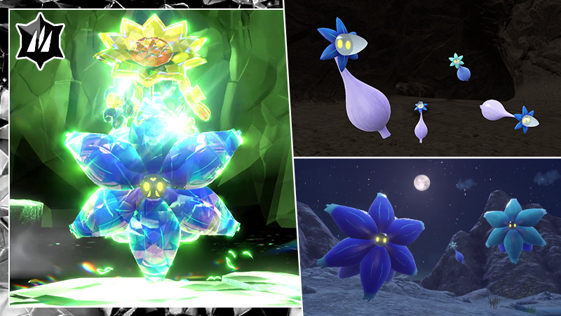 pokemon FlorÃ©clat raid 7 Ã©toile aout 2026