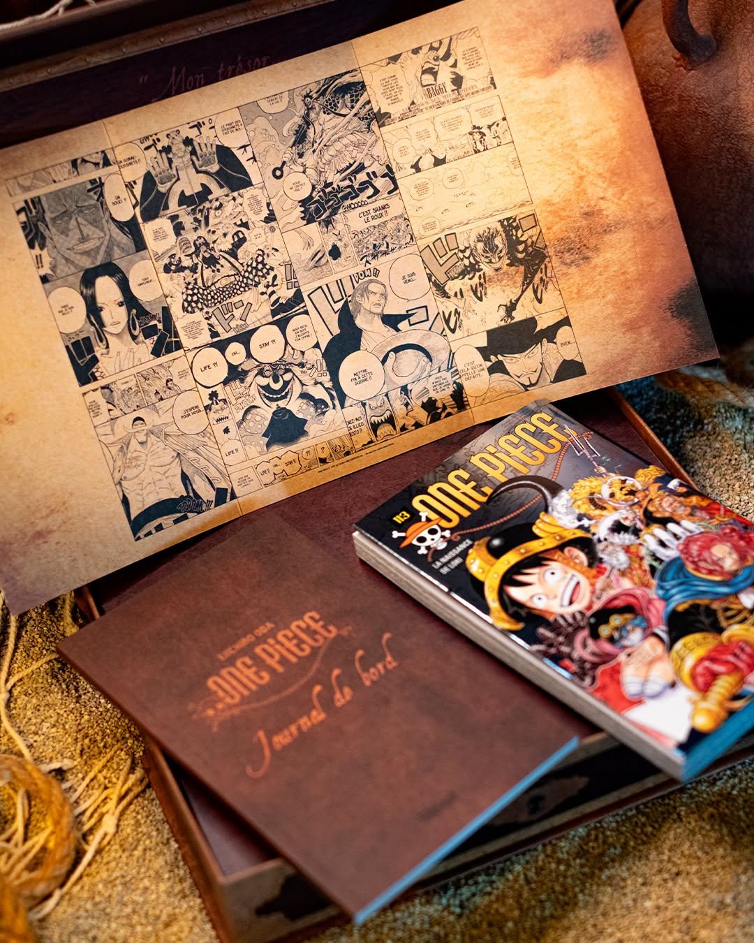 one piece collector 113