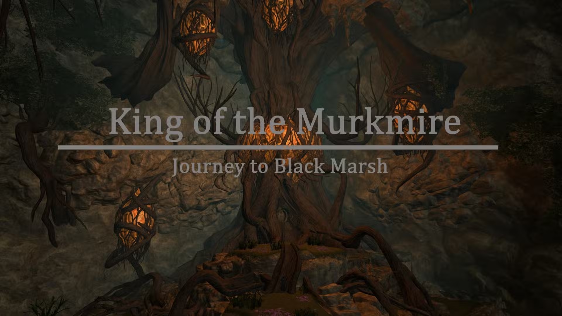 Skyrim King of the Murkmire Illu