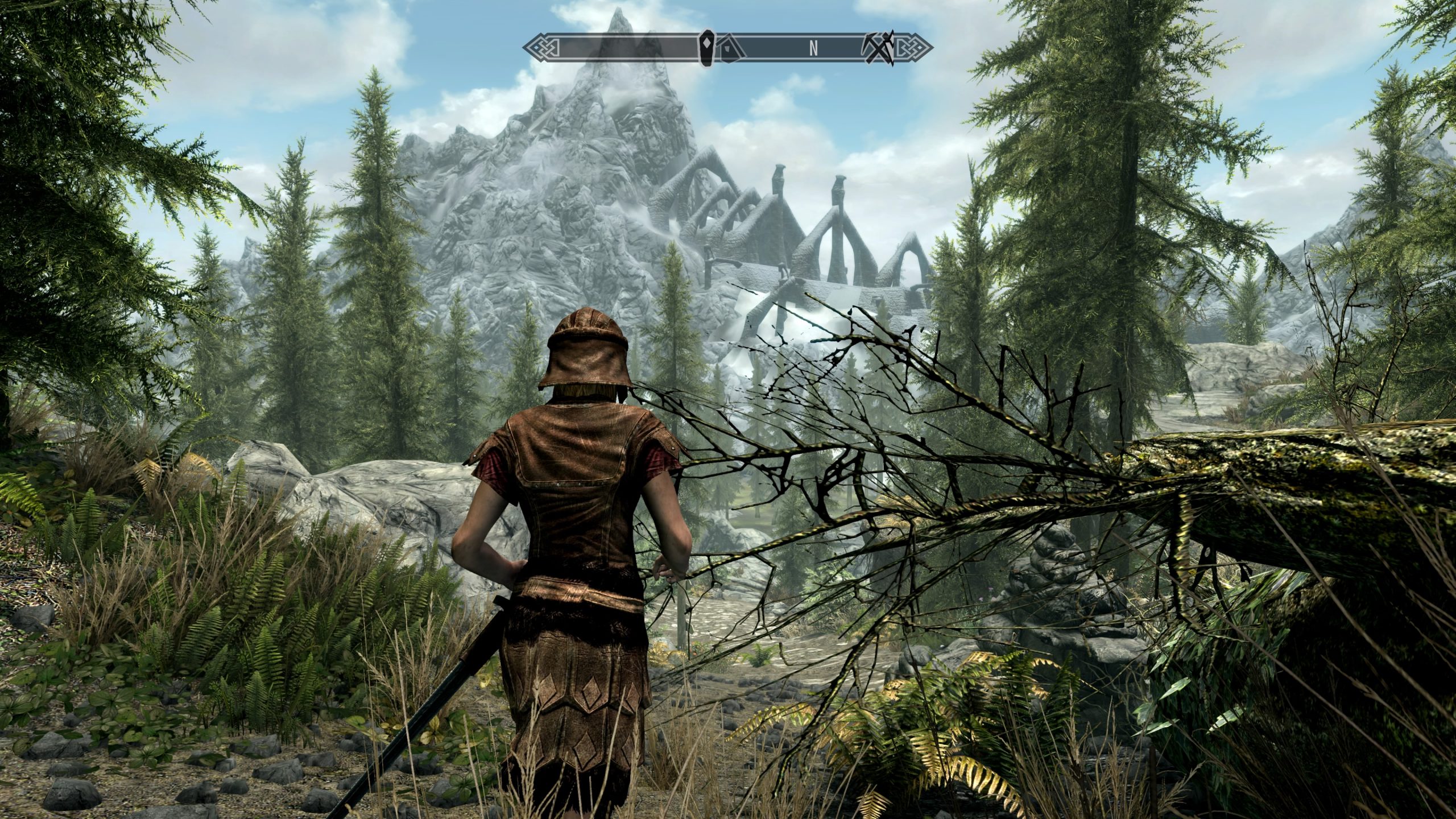 Skyrim Skyrim