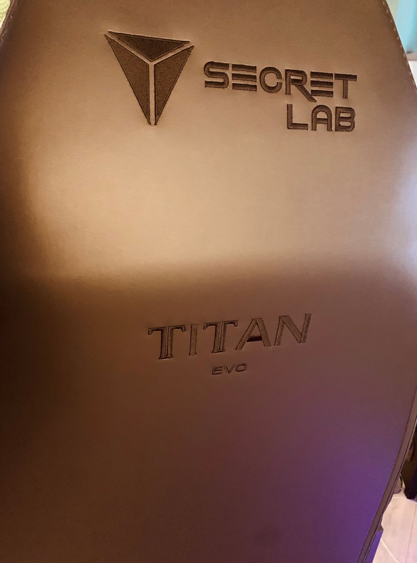 Photo du dos d de la SecretLab Titan EVO 2022. Photo du dos d de la SecretLab Titan EVO 2022.