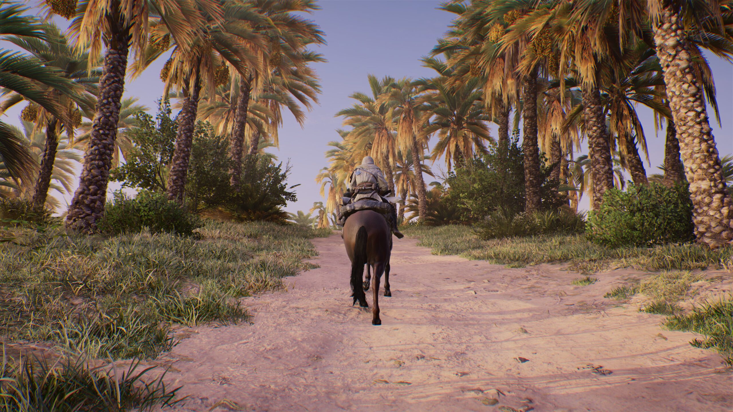 Assassins Creed Mirage test Assassins Creed Mirage test