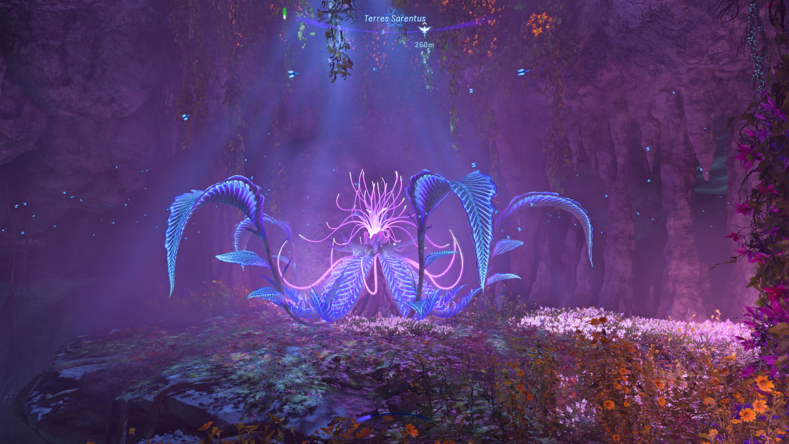 Avatar Frontiers of pandora